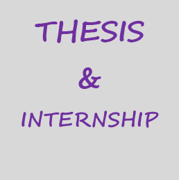 Thesis-Internship report server
